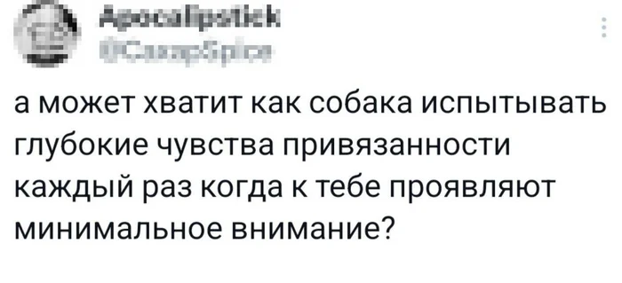 Привязанность - Юмор, Twitter, Telegram (ссылка), Внимание, Привязанность, Чувства, Скриншот