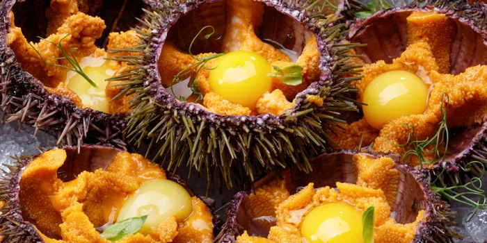 Sea urchins. Libido-boosting drugs for the middle-class gourmand - My, Positive, Life stories, Food, Humor, Sea urchin, Cooking, Yummy, Delicacy, Longpost