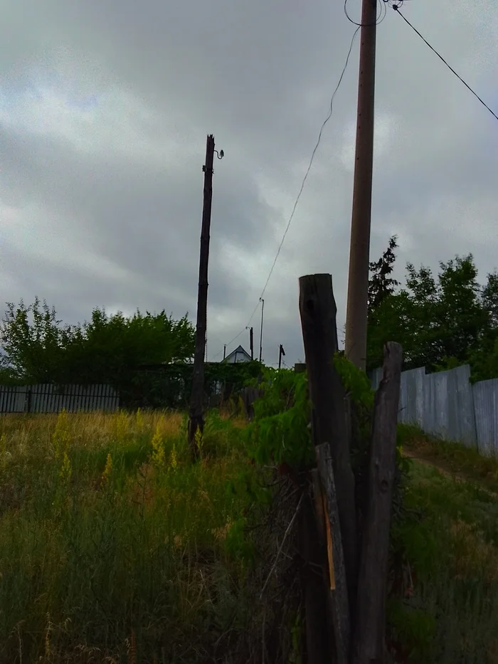Encumbrance on a non-working electric pole. Please tell me how difficult it is to remove such an encumbrance? The pillar is on the site - SNT, Power lines, Rosseti, Electricity, Longpost