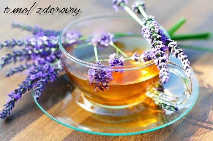 Two cups of this tea a day reduces anxiety and improves sleep quality - My, Healthy lifestyle, Proper nutrition, Health, Nutrition, Useful, Lavender, Tea