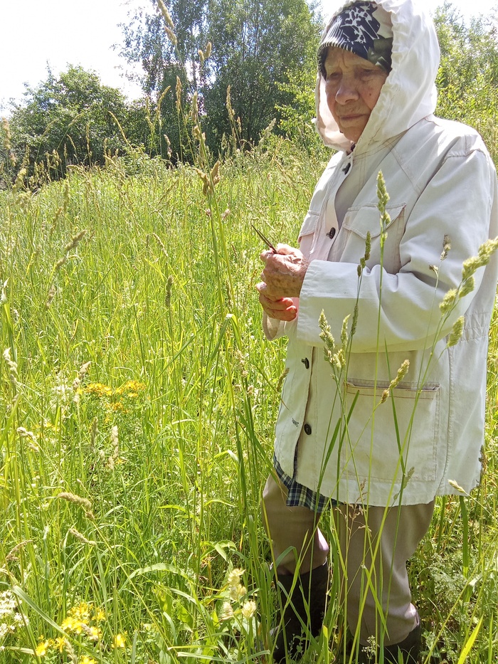 Бабушка и лес)