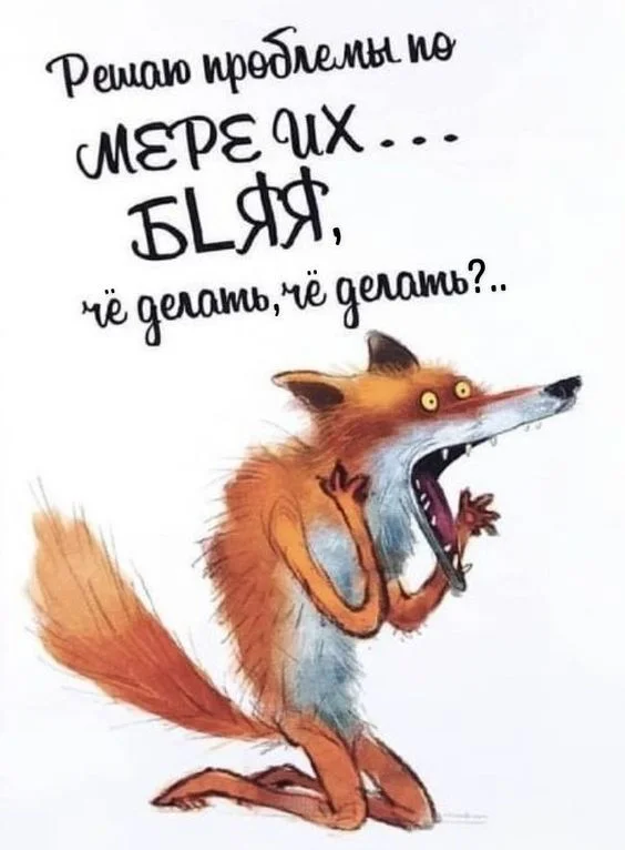 What to do? - Quotes, Humor, Picture with text, Mat, Problem, Fox