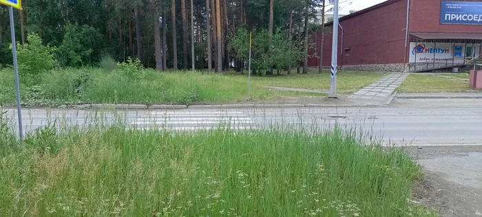 Планировочное решение уровень бох - ПДД, Пешеходный переход, Архитектура, Градостроительство