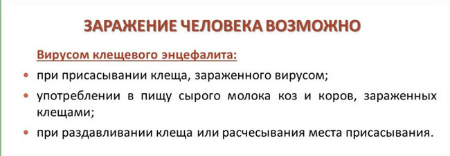 ОРВИ или? - Моё, Медицина, Клещевой энцефалит, Клещ, Скоровские истории, Истории из жизни, Длиннопост