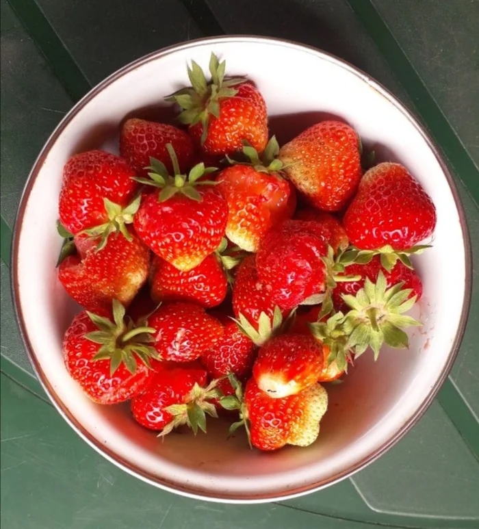 Imperfect photo of the perfect summer breakfast - Images, Photo on sneaker, Strawberry (plant)