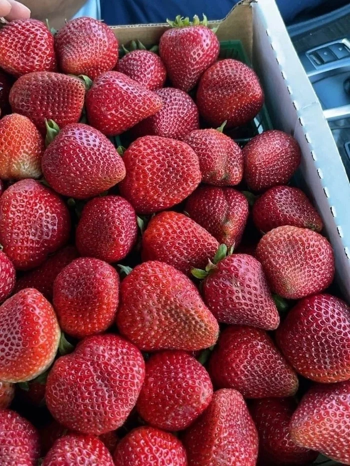 Season - Images, Strawberry (plant), Berries, Summer