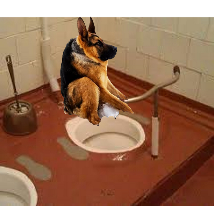 типичная посадка на HD Street Bob