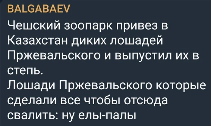 Возрождение - Лошадь Пржевальского, Казахстан, Красная книга, Животные, Из сети, Юмор, Скриншот