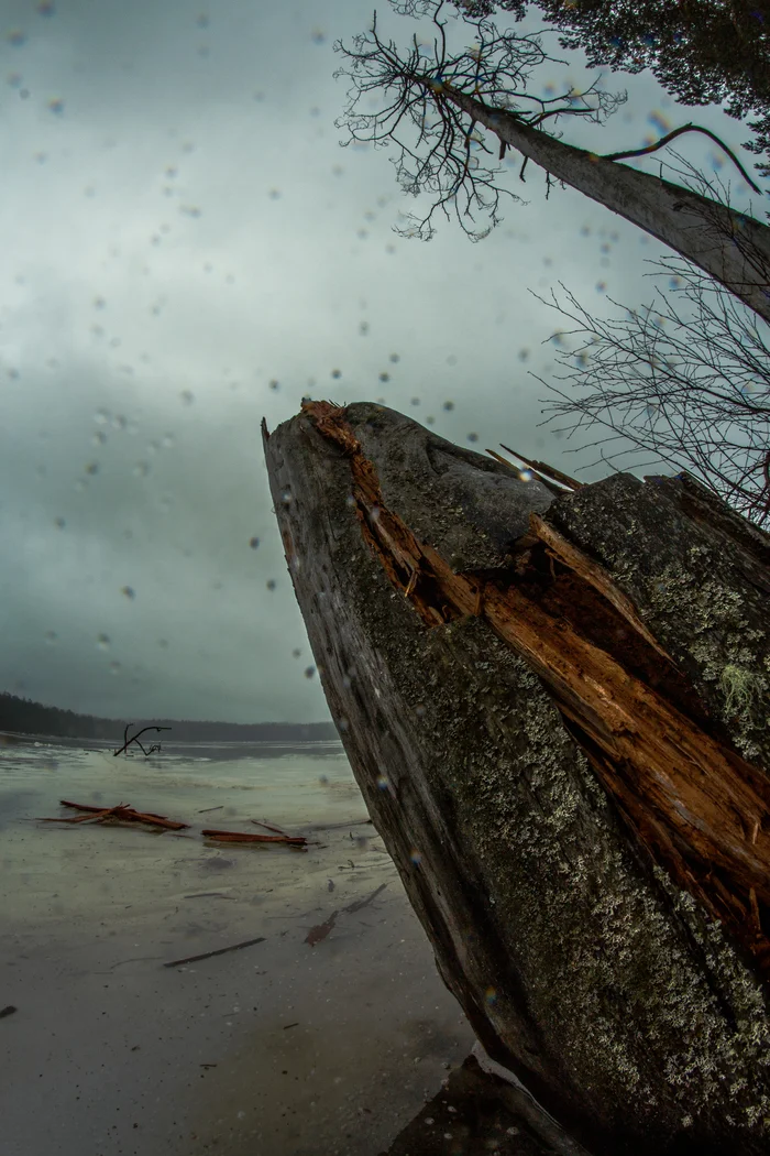 Wet winter beach - My, The photo, Lake, Snow, Fog, Shore, Longpost