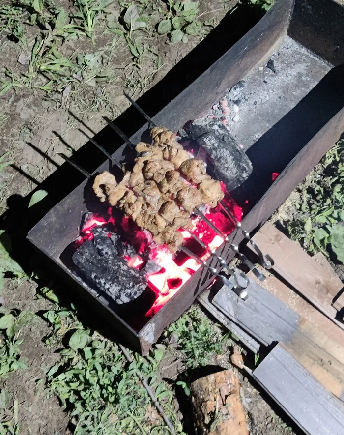 Just a kebab - My, Shashlik, Meat eaters