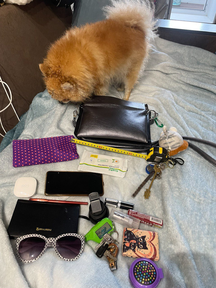 ������ ��������� �������������