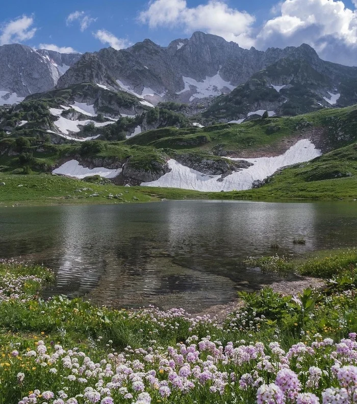 Adygea - Russia, The photo, Nature, Republic of Adygea, The mountains, Flowers, Beautiful view, The nature of Russia, Lake