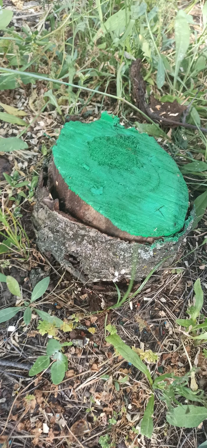 Why do they paint stones and stumps? - My, Utility services, Landscape design, Collective farm, Absurd, Infrastructure, Question, Ask Peekaboo, Longpost
