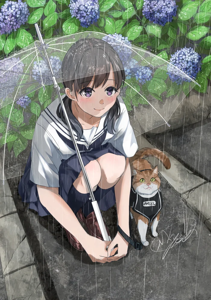 The smell of rain - Anime, Original character, Anime art, Seifuku, Girls, Schoolgirls, cat, Umbrella, Rain, Hydrangeas, Petrikor