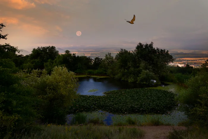 June full moon - My, The photo, Nature, Caucasian Mineral Waters, Landscape, Beshtau, Lake, Full moon, dawn