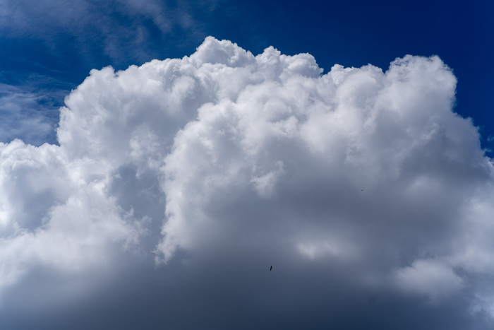 С погодой в тот день повезло, облака не давали солнцу уничтожить беспечный разум, блуждающий среди домов давно канувших в лету купцов.