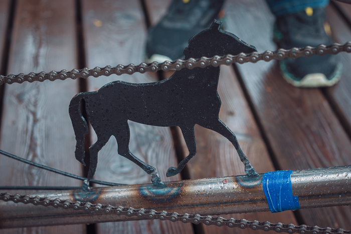 Маскот. Нет, масконь.