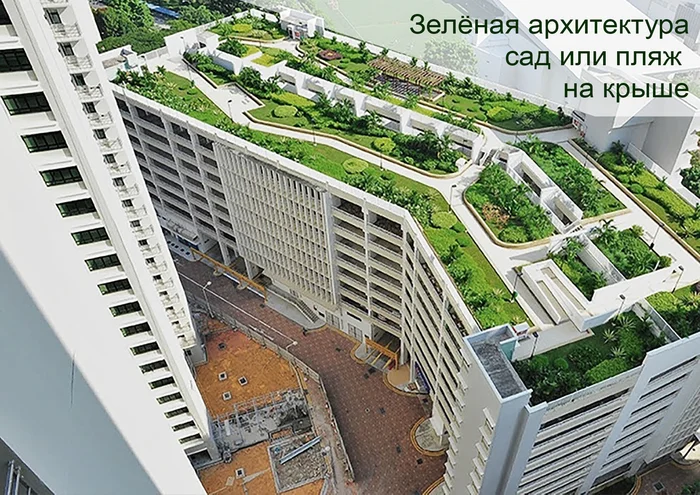 Competition for the best design project (Moscow Innovation Cluster) - My, Project, Development, The property, Architecture, Future, Moscow, Innovations, Competition, Building, Longpost