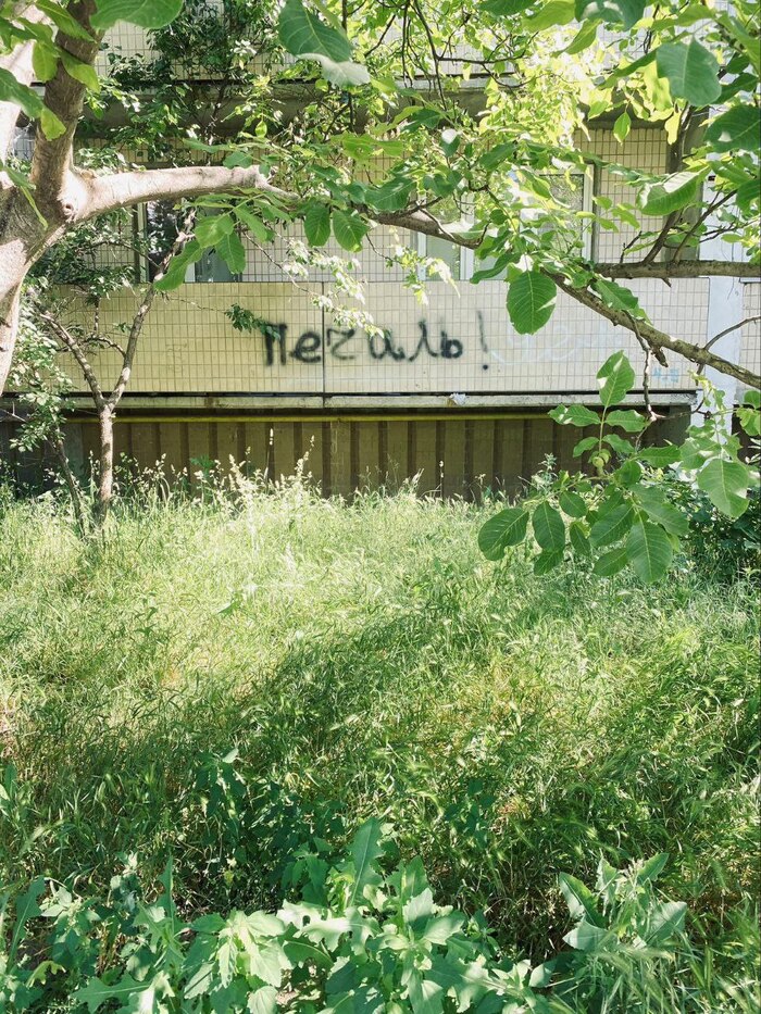 �������� / �������