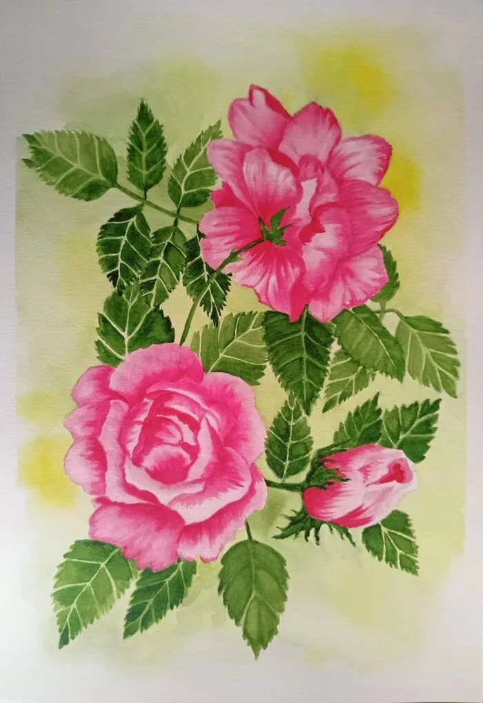 Roses - My, Drawing, Watercolor, Flowers, the Rose, Traditional art