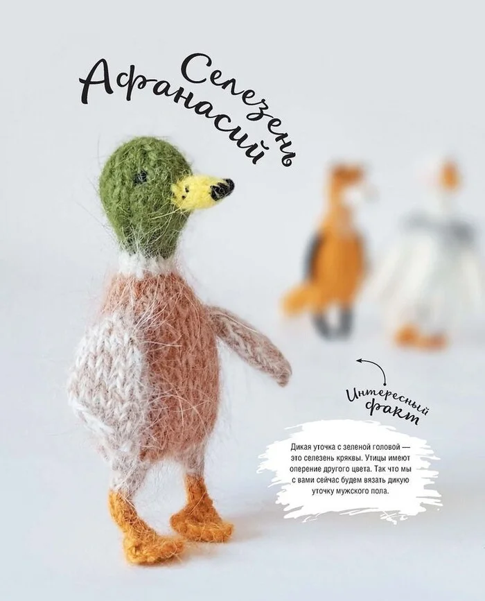 Interesting knitting ideas from Pinterest - Idea, Knitted toys, Author's toy, Decor, Amigurumi, Longpost
