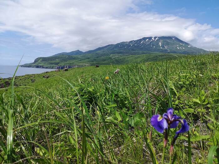          , .   . : <a href="https://pikabu.ru/story/vyi_byili_na_krayu_sveta_11538999?u=https%3A%2F%2Fvk.com%2Firamahaniil&t=%D0%98%D1%80%D1%8D%D0%BD%D0%BE%D1%87%D0%BA%D0%B0%20%D0%9F%D0%BE%D0%BB%D0%B8%D1%89%D1%83%D0%BA%20%7C%20%D0%92%D0%9A%D0%BE%D0%BD%D1%82%D0%B0%D0%BA%D1%82%D0%B5%20%28vk.com%29&h=ef901bbc8bb6d7cb650f50a8e5dd970137af310b" title="https://vk.com/iramahaniil" target="_blank" rel="nofollow noopener">  |  (vk.com)</a>