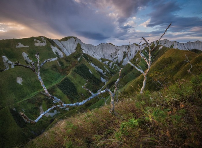  . : <a href="https://pikabu.ru/story/vyi_byili_na_krayu_sveta_11538999?u=https%3A%2F%2Fvk.com%2Fgrachev.photographer&t=%D0%90%D0%BD%D0%B4%D1%80%D0%B5%D0%B9%20%D0%93%D1%80%D0%B0%D1%87%D0%B5%D0%B2%20%7C%20%D0%92%D0%9A%D0%BE%D0%BD%D1%82%D0%B0%D0%BA%D1%82%D0%B5%20%28vk.com%29&h=177c697720761e56a8e750cf3e957c7e4c7a35d8" title="https://vk.com/grachev.photographer" target="_blank" rel="nofollow noopener">  |  (vk.com)</a>