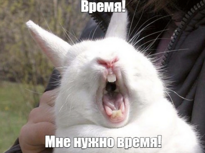 ��, ��� �� ������ ������, �� ������� �������� � SEO-������������