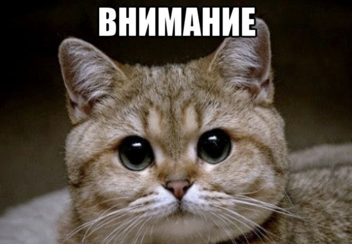 ��, ��� �� ������ ������, �� ������� �������� � SEO-������������