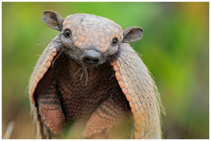 Вашему ребёнку уже полтора года, а она всё ещё беременна.