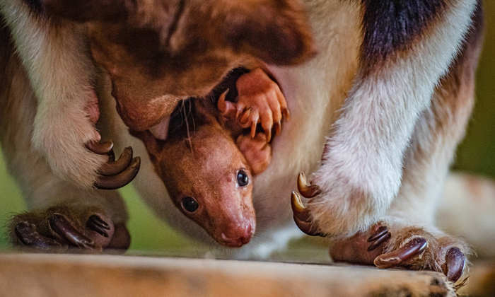 Когда ходишь на ноготочки вместе с мамой с самого рождения!