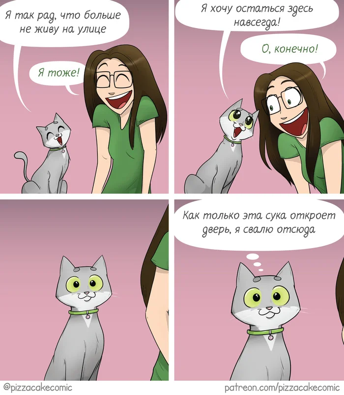 Cat - My, Comics, Translated by myself, cat, The street, Pizzacakecomic