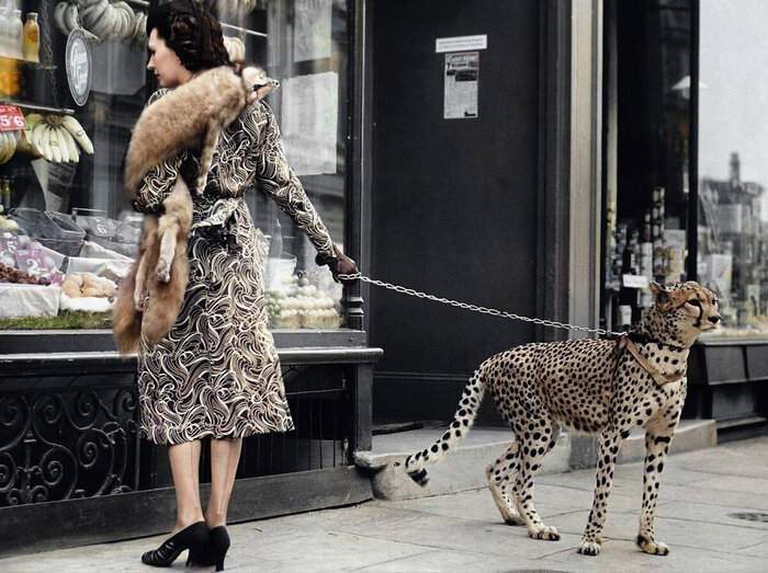 Подборка фотографий из прошлого, которые заставляют удивиться. 20 раскрашенных фотографий из ХХ века. Часть III Старое фото, Историческое фото, Колоризация, Фотография, 20 век, 19 век, Длиннопост