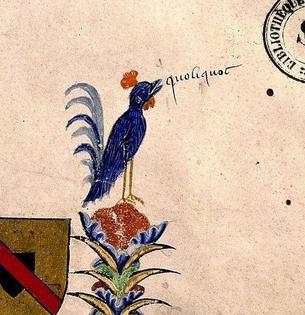 Sits and yells - Humor, Manuscript, Strange humor, Rooster, Scream, Cock-a-doodle-doo, Suffering middle ages
