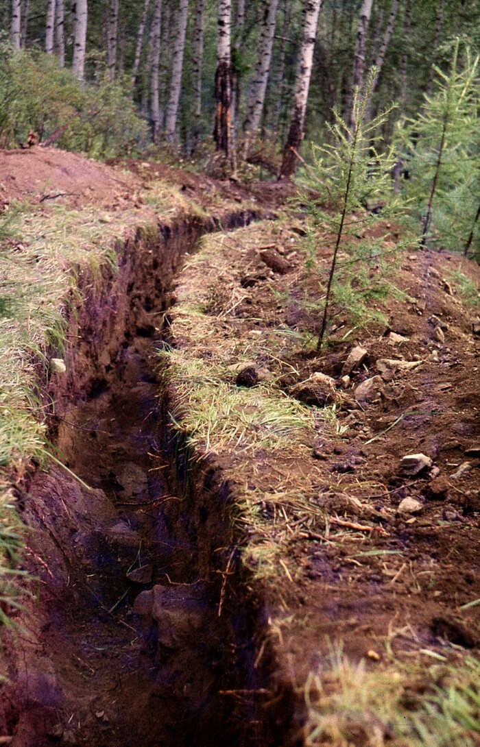    .     ,    ,     . ,      ,     ...