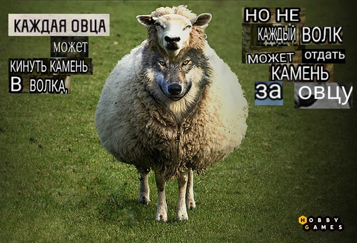 Sheep, by the way, don’t perform in the circus either! - Board games, Hobbygames, Picture with text, Humor