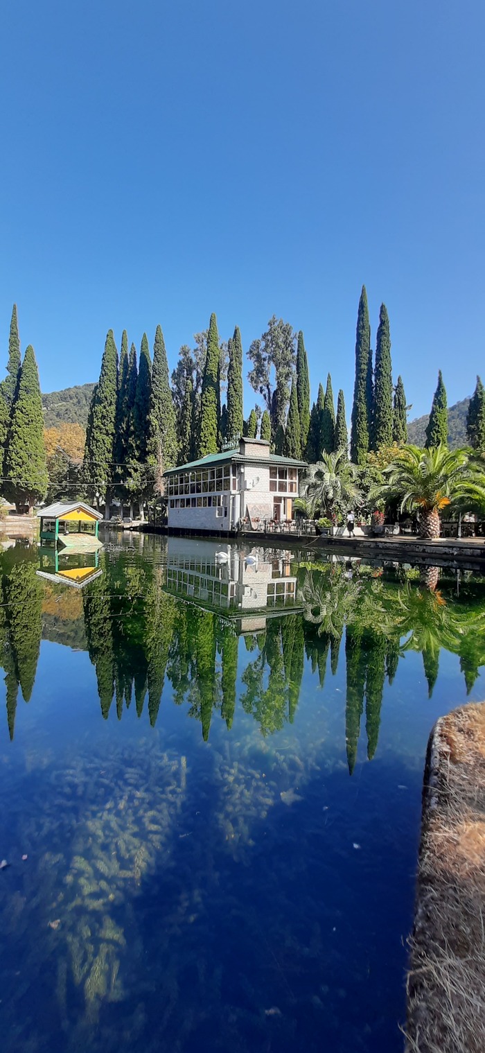 Парк в Новом Афоне