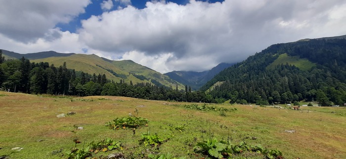 Студенческая поляна