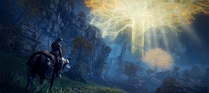     FromSoftware,       ,       .