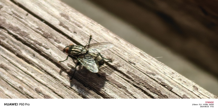 Так, немножко не сюда))))