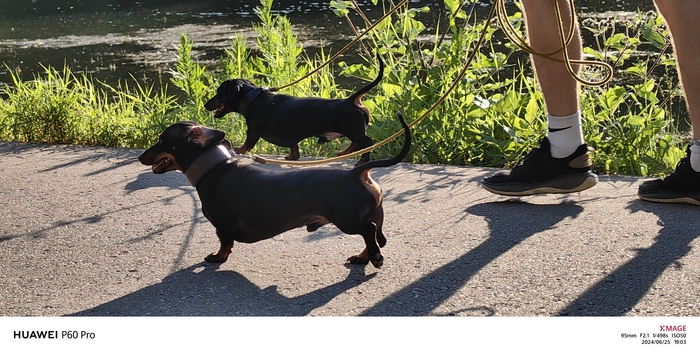 Эти тоже идут стройным шагом!