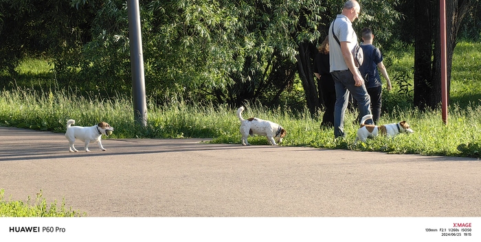 Ещё раз про эту троицу..