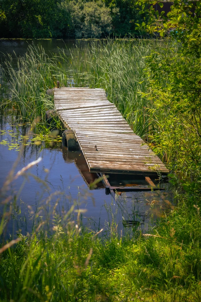 Мостки - Моё, Фотография, Природа, Пейзаж, Лето, Ленинградская область, Канал, Волховский район, Новая Ладога