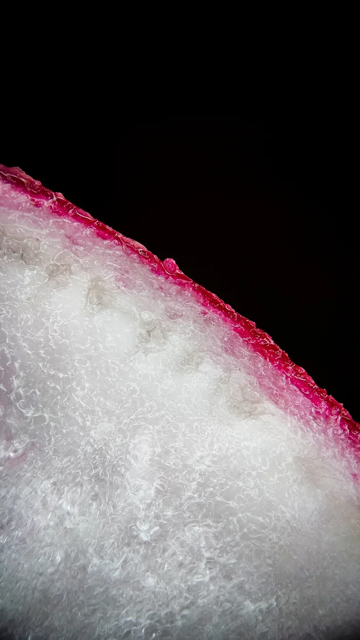 Photo project Let's take a closer look post No. 32. Radish - My, The photo, Nature, Macro photography, Microfilming, Vegetables, Vegetable salad, Beautiful view, Radish, Food, Salad, Longpost