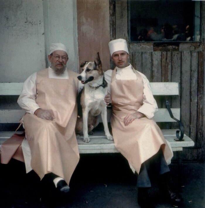 ������ �� �������