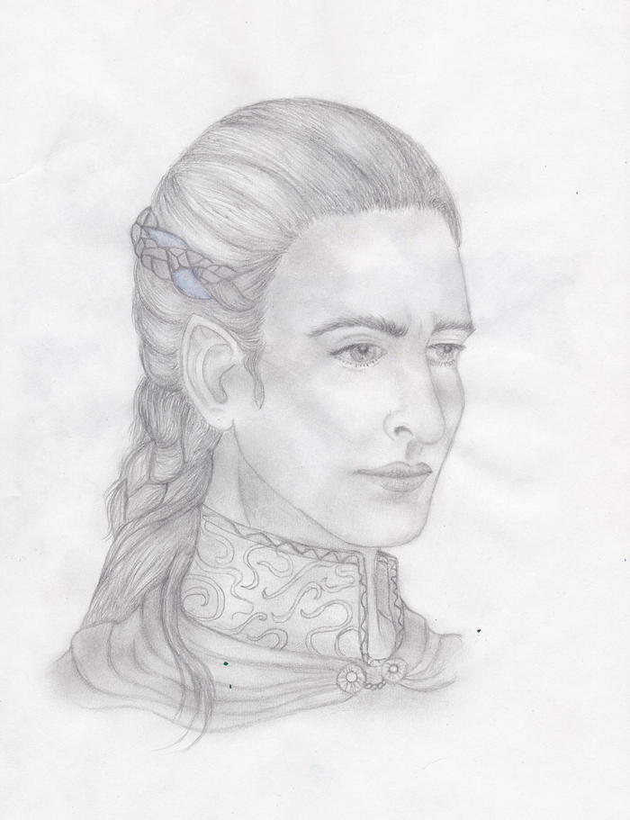 Дэнетор, король лайквенди, автор - Marina Muscan.