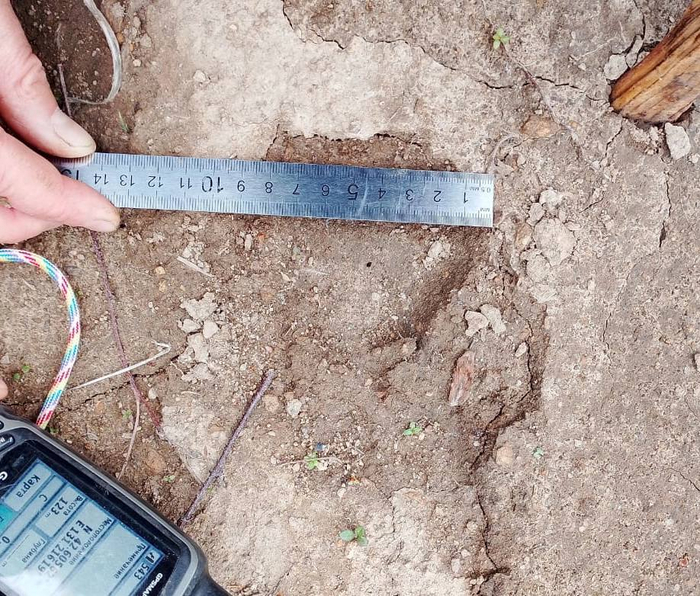 ��������� ����� �������� ����