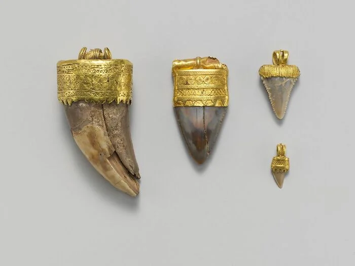 Etruscan shark tooth amulets - History (science), The Roman Empire, Archeology, Ancient artifacts, Ancient Rome, Etruscans, Amulet, Shark, Teeth, Antiquity, Longpost