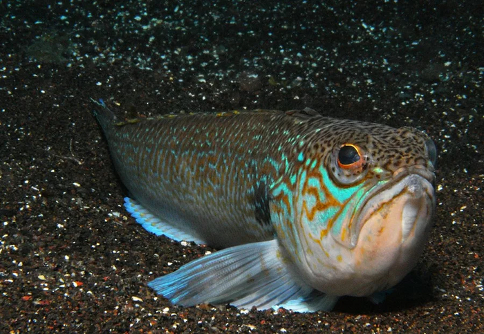 А вот сейчас вообще-то обидно было!