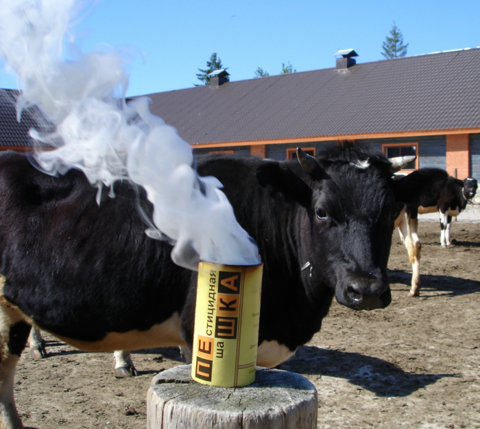      ,      . ,   .      .